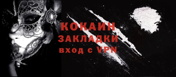 стафф Алексин