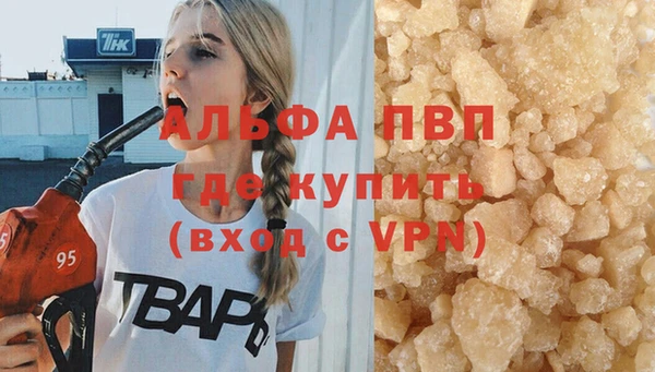 стафф Алексин