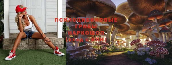 скорость Алексеевка