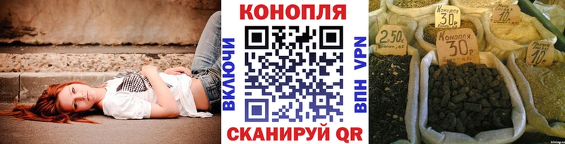 цены наркотик  Курган  Бошки марихуана марихуана 